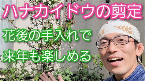 海棠開花|ハナカイドウ（カイドウ）の育て方！剪定時期・方法。